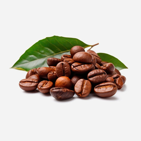 Organic Coffee Beans